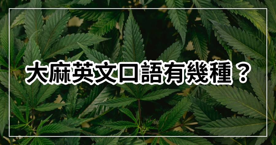 大麻英文口語有幾種？